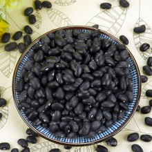 Natural Agriculture Food Black Kidney Beans For Human Health